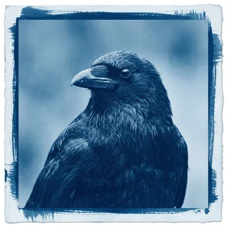 Cyanotype portrait of Wendell Pike