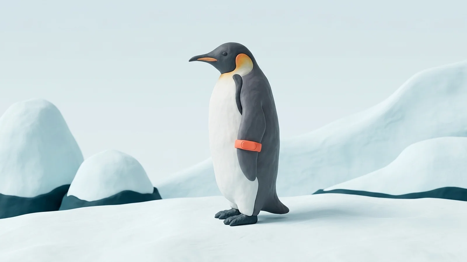 An emperor penguin wearing a coral Waddle band on one flipper