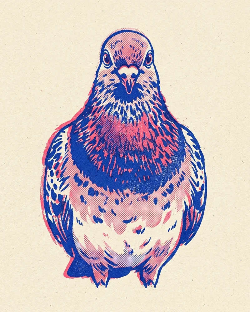 Risograph portrait of Bartholomew facing the camera