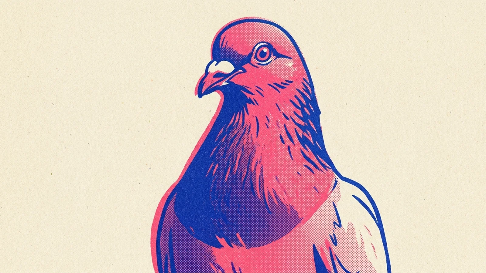 A two-ink risograph portrait of a dignified city pigeon