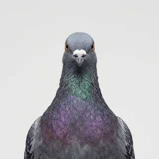 Your profile: Gary