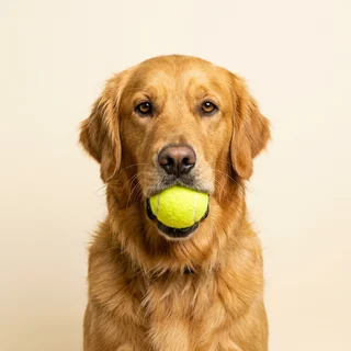 Murphy